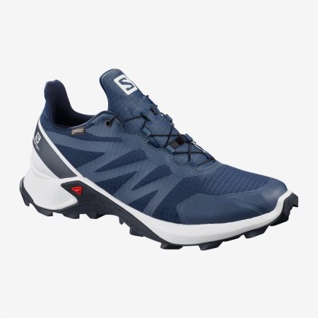 Scarpe Trail Running Salomon SUPERCROSS GTX Uomo Blu IT 9-B36